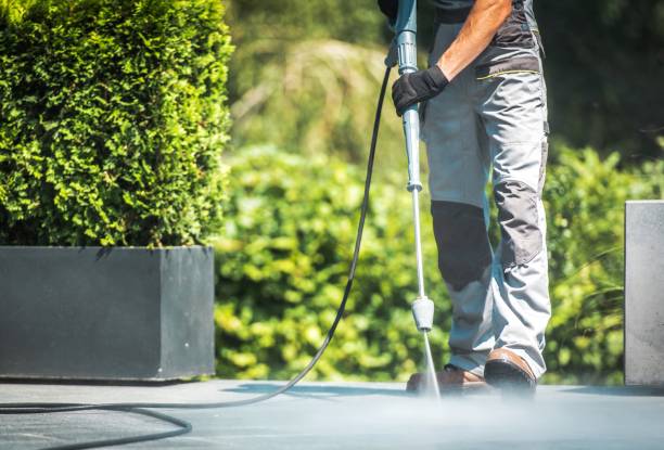 Best Sidewalk and Walkway Cleaning  in Daytona Beach Shores, FL