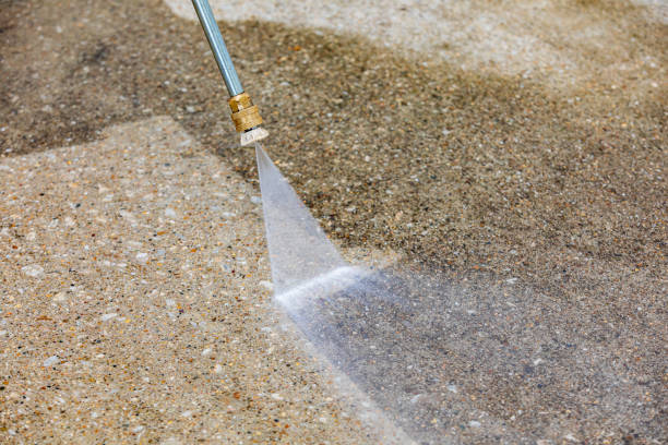 Best Dumpster Area Cleaning  in Daytona Beach Shores, FL